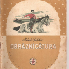 (C3173) OBRAZNICATURA DE MIHAIL SOLOHOV, EDITURA TINERETULUI, 1957, TRADUCERE DE MIHAIL SEVASTOS, ILUSTRATII DE N. SEVERSTOV