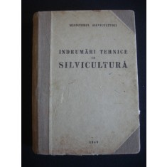 Indrumari tehnice in silvicultura. Ministerul Silviculturii (1949)