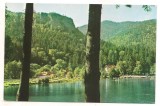 Carte postala(ilustrata)-TUSNAD-Lacul Ciucas, Necirculata, Printata