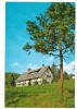 Carte postala(ilustrata)-M-tii BUCEGII-CABANA Zanoaga, Necirculata, Printata
