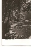 CPI (B2197) TUSNAD. LACUL CIUCAS, CIRCULATA 15SEP.60, STAMPILE, TIMBRU, RPR