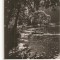 CPI (B2197) TUSNAD. LACUL CIUCAS, CIRCULATA 15SEP.60, STAMPILE, TIMBRU, RPR
