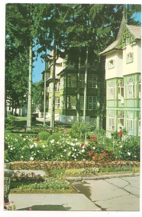 carte postala(ilustrata)-SOVATA-vile