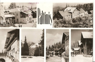 CPI (B2211) PALTINIS, MOZAIC, EDITURA MERIDIANE, CIRCULATA 1966, STAMPILE foto