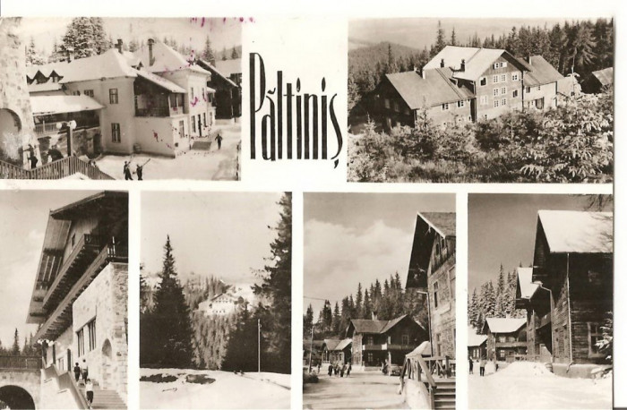 CPI (B2211) PALTINIS, MOZAIC, EDITURA MERIDIANE, CIRCULATA 1966, STAMPILE