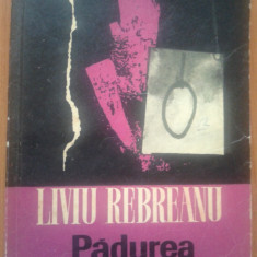 PADUREA SPANZURATILOR - Liviu Rebreanu