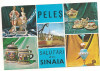 Carte postala(ilustrata)-PELES-Salutari din Sinaia, Necirculata, Printata