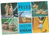 carte postala(ilustrata)-PELES-Salutari din Sinaia