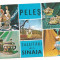carte postala(ilustrata)-PELES-Salutari din Sinaia