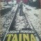 TAINA - Lucian Penescu