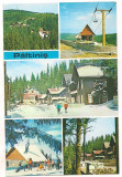 Carte postala(ilustrata)-PALTINIS-colaj, Circulata, Printata