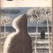 (C3280) INTIMPLARI DIN ARHIPELAG DE STRINDBERG, BIBLIOTECA PENTRU TOTI, 1968, TRADUCERE SI PREFATA DE FLORIN MURGESCU