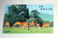 Cartela telefonica Japonia - NATURA, FAUNA, ANIMALE SALBATICE, CERB SI CAPRIOARA - 2+1 gratis toate licitatiile - RBK2352 foto