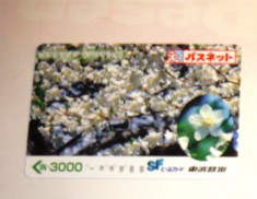 Cartela / Card Japonia - ARTA, FLORA, FLORI - 2+1 gratis toate licitatiile - RBK2389 foto