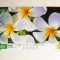 Cartela / Card Japonia - ARTA, FLORA, FLORI - 2+1 gratis toate licitatiile - RBK2387
