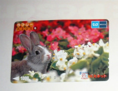 Cartela / Card Japonia - NATURA, ANIMALE - IEPURE - 2+1 gratis toate licitatiile - RBK2395 foto