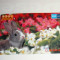 Cartela / Card Japonia - NATURA, ANIMALE - IEPURE - 2+1 gratis toate licitatiile - RBK2395