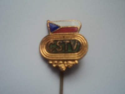Insigna Asociatia CEHOSLOVACA de Educatie Fizica foto