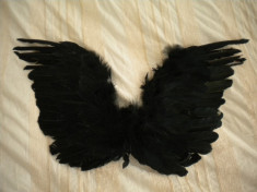 costum party Black Swan foto