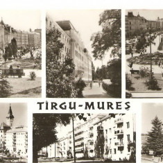 CPI (B2256) TIRGU-MURES. MOZAIC, EDITURA MERIDIANE, NECIRCULATA