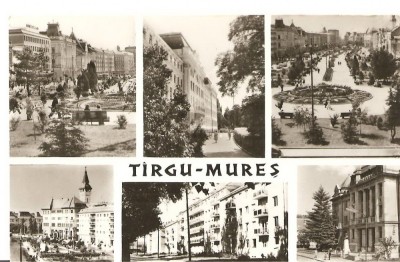 CPI (B2256) TIRGU-MURES. MOZAIC, EDITURA MERIDIANE, NECIRCULATA foto
