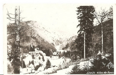 CPI (B2244) SINAIA. VEDERE DIN FURNICA, EDITURA FERRANIA, NECIRCULATA foto