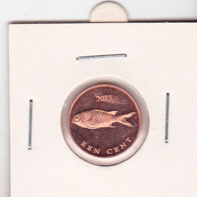 bnk mnd St Eustatius 1 cent 2011 unc , fauna marina foto