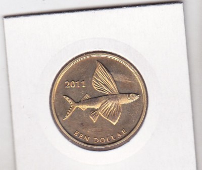 bnk mnd St Eustatius 1 $ 2011 unc , fauna marina foto