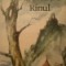 Victor Hugo - Rinul. Scrisori catre un prieten