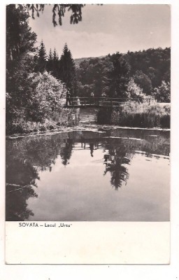 carte postala(ilustrata)-SOVATA-Lacul URSU foto