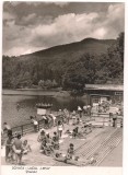 Carte postala(ilustrata)-SOVATA-Lacul URSU-strandul, Circulata, Fotografie