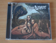 Limp Bizkit - Gold Cobra foto