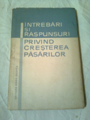 INTREBARI SI RASPUNSURI PRIVIND CRESTEREA PASARILOR ~ MARIN LUNGUTESCU foto