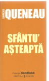 (C3369) SFANTU&#039; ASTEAPTA DE RAYMOND QUENEAU, EDITURA UNIVERS, 2006, TRADUCERE DE SANDA OPRESCU