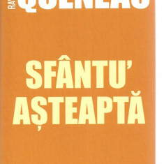 (C3369) SFANTU' ASTEAPTA DE RAYMOND QUENEAU, EDITURA UNIVERS, 2006, TRADUCERE DE SANDA OPRESCU