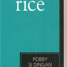 (C3367) POBBY SI DINGAN DE BEN RICE EDITURA UNIVERS, 2007, TRADUCERE DE DAN CIOBANU