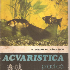 (C3328) ACVARISTICA PRACTICA DE V. VOICAN SI I. RADULESCU, EDITURA CERES, BUC., 1979
