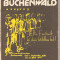 (C3342) REZISTENTA LA BUCHENWALD DE KLAUS DROBISCH, EDITURA POLITICA, BUCURESTI, 1981, PREFATA DE GALL ERNO, TRADUCERE DE SORIN TOMA