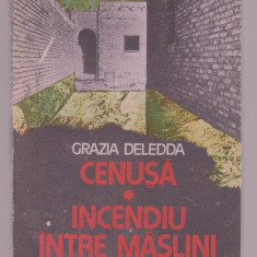 Grazia Deledda - Cenusa / Incendiu intre maslini