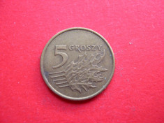 Polonia 5 groszy 1999 foto