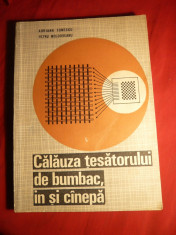 A.Ionescu si P.Moldoveanu - Calauza Tesatorului- ed. cca. 1970 foto