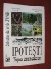 IPOTESTI Topos eminescian - Valentin Ciuca, Constantin Prut (album arta), editura GEEA, reproduceri color, format mare
