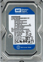 Western Digital HDD 250 GB (WD2500AAKS) foto