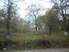 Vand teren livada pentru constructii 2.500 mp ultracentral in Silvasul de Sus, Hateg, langa Manastirea Prislop, la drumul principal foto