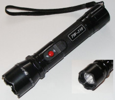 Electrosoc TW-318 in Forma de Lanterna Include si Incarcator Auto foto
