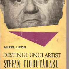 (C3441) STEFAN CIOBOTARASU - DESTINUL UNUI ARTIST DE AUREL LEON, EDITURA JUNIMEA, IASI, 1973