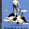 Dan Grigorescu - Shelley