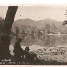 CPI (B2367) BAIA-MARE, BAIA-SPRIE, LACUL PINTEA, 731m, FOTO ORIG. FOTOFILM CLUJ, 1939, CIRCULATA , STAMPILE, TIMBRU