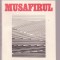 Stefan Dinica - Musafirul