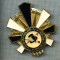 C551 Medalie(insigna) - Scoala de majorete -NARRHALLA Schwarz-Weiss -Nurnberg